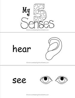 Five senses vocabulary cards
