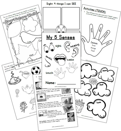 My five senses activity book lesedi education