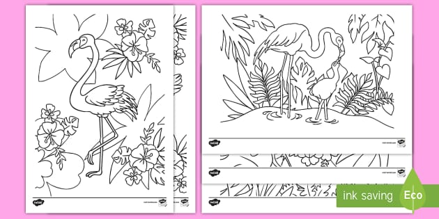 Flamingo colouring pictures primary resources