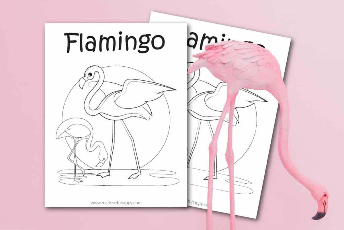 Flamingo coloring pages