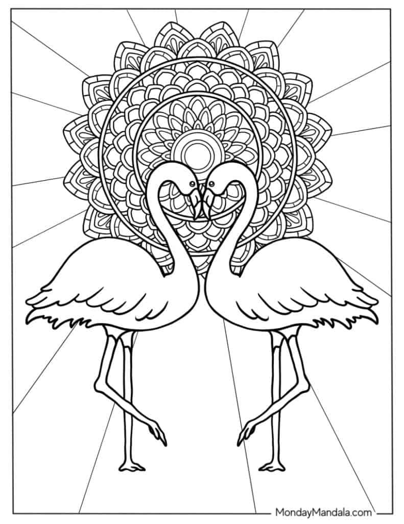 Flamingo coloring pages free pdf printables