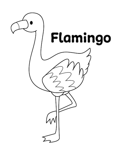 Flamingo coloring page