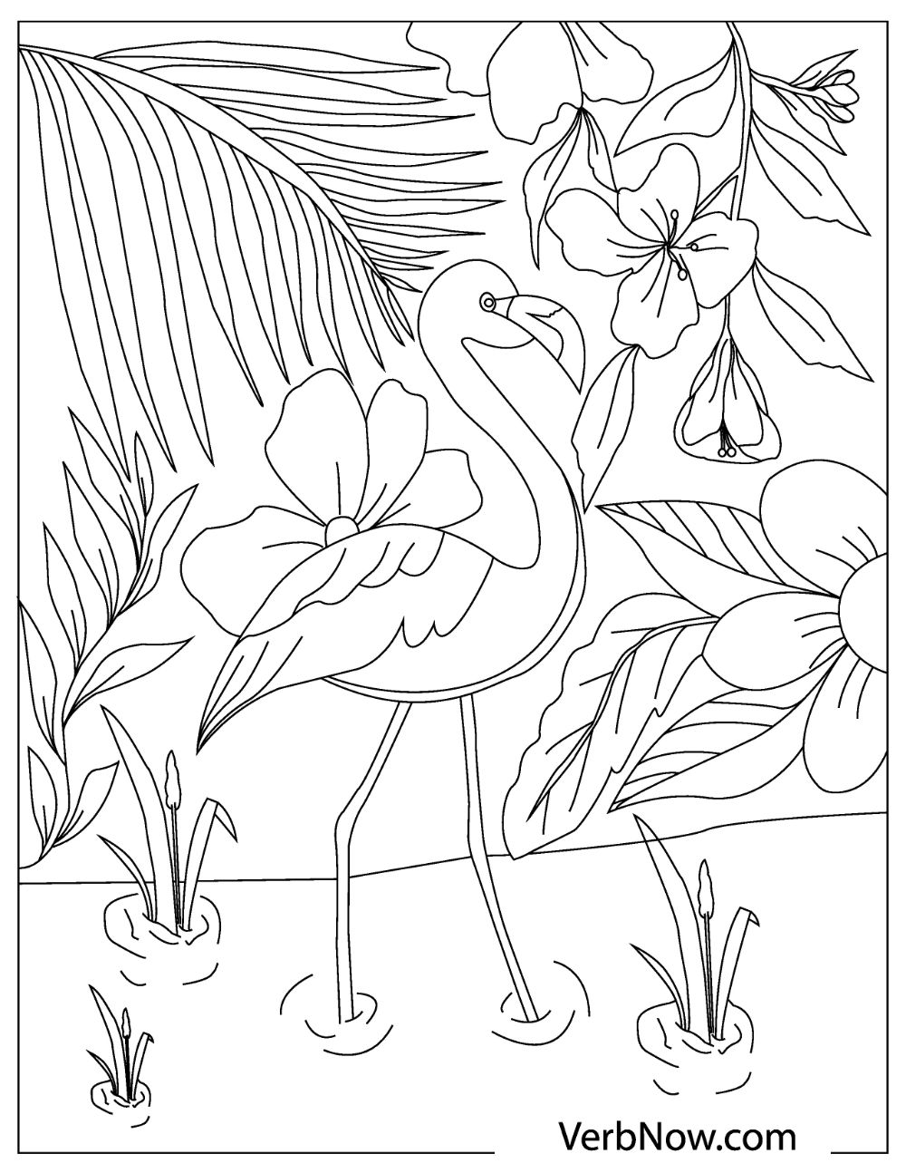 Free flamingo coloring pages for download printable pdf