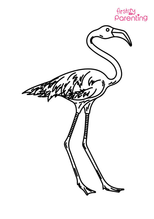 Easy printable flamingo coloring pages for kids