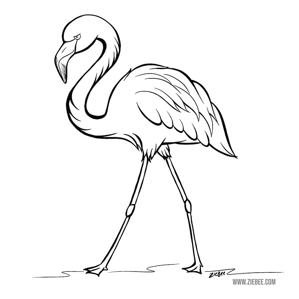 Flamingo island time coloring page media