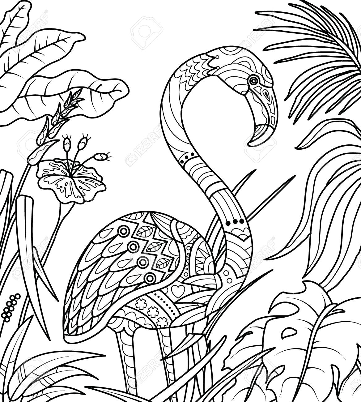 Flamingo coloring page vector illustration for adult coloring books or tattoos isolated on white background royalty free svg cliparts vectors and stock illustration image