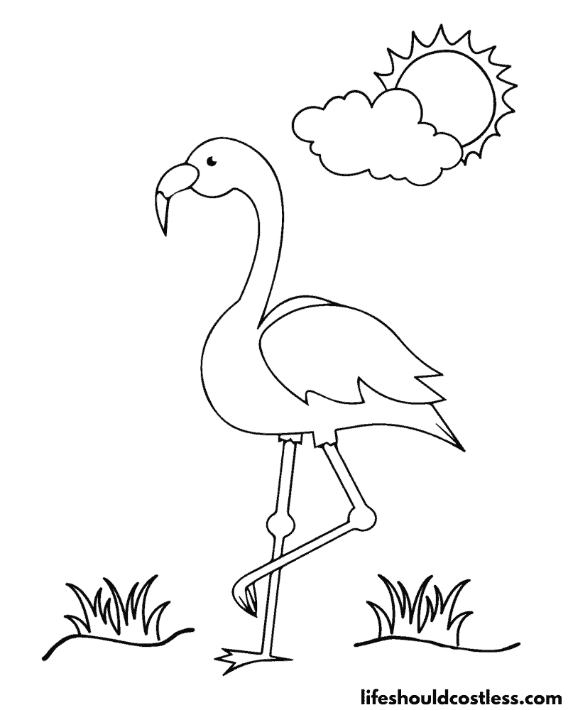 Flamingo coloring pages free printable pdf templates