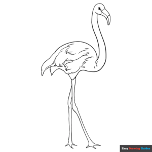 Flamingo coloring page easy drawing guides