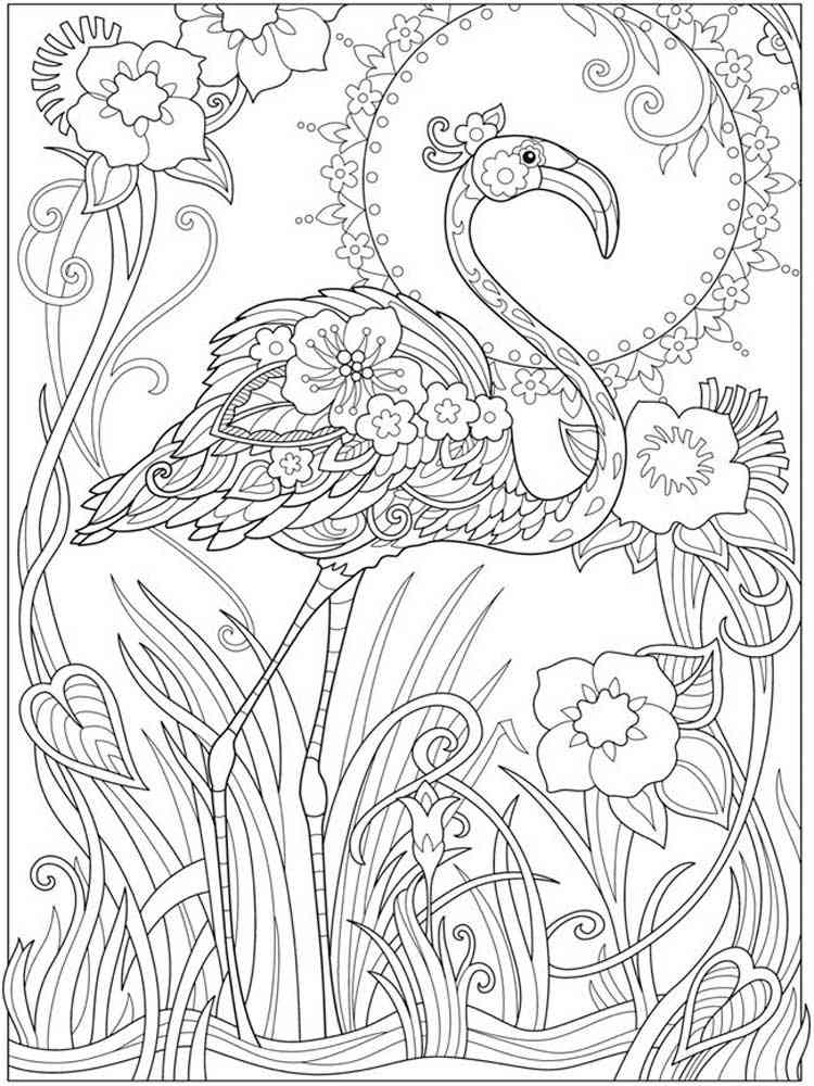 Free printable flamingo coloring pages for adults