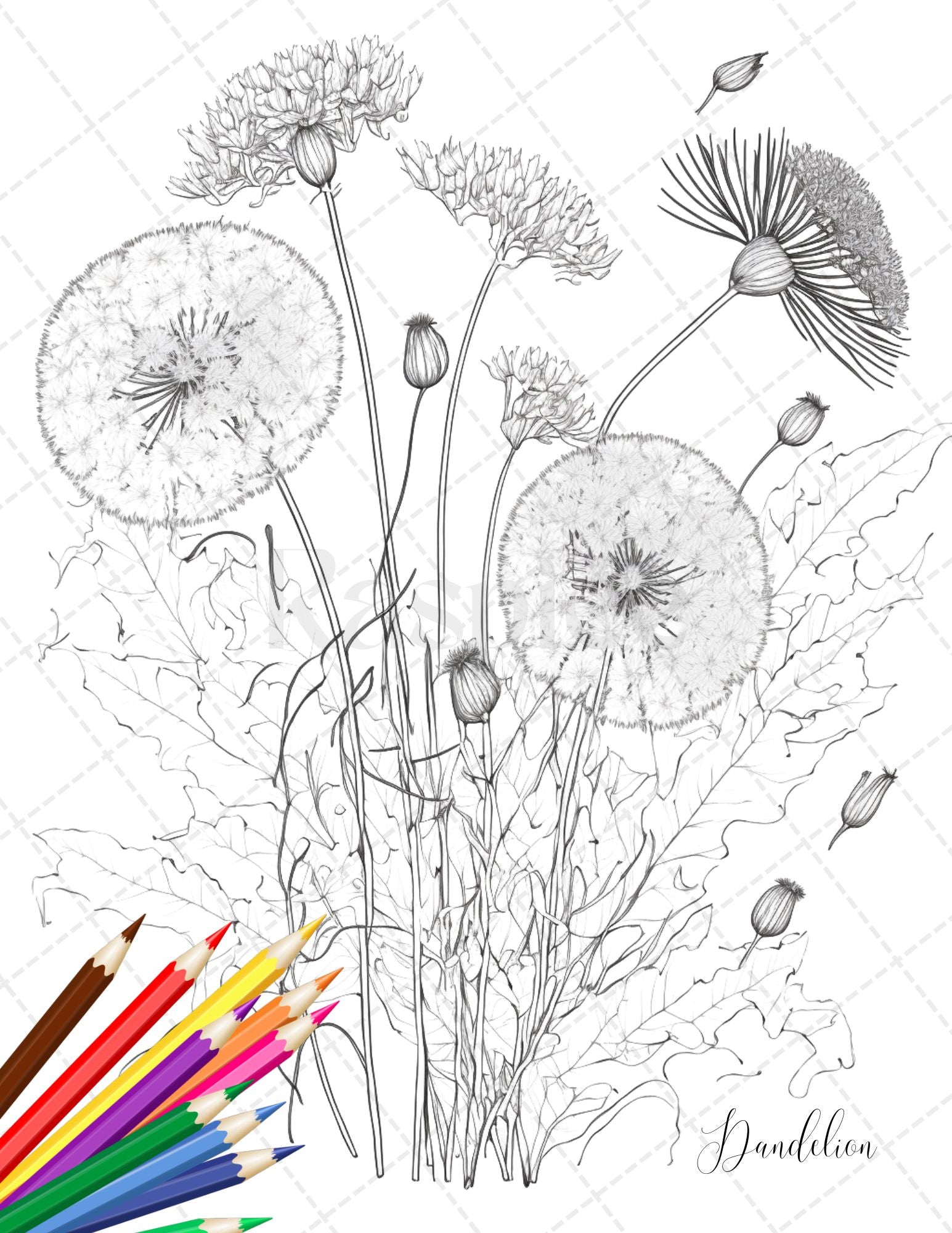 Botanical flowers printable coloring pages for adults floral grays â coloring