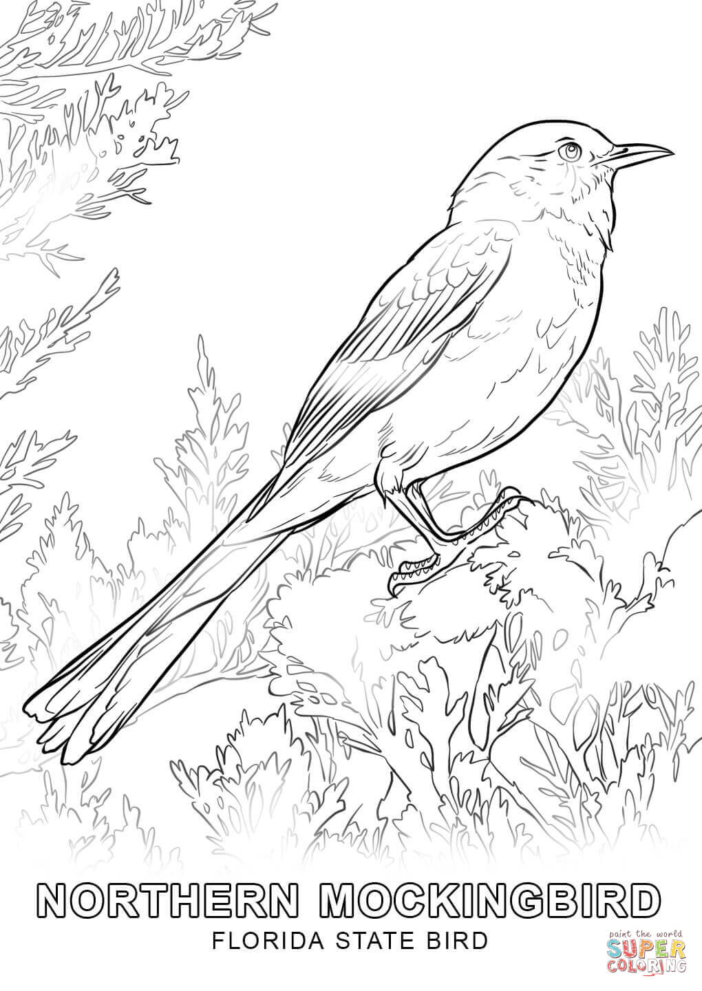 Florida state bird coloring page free printable coloring pages