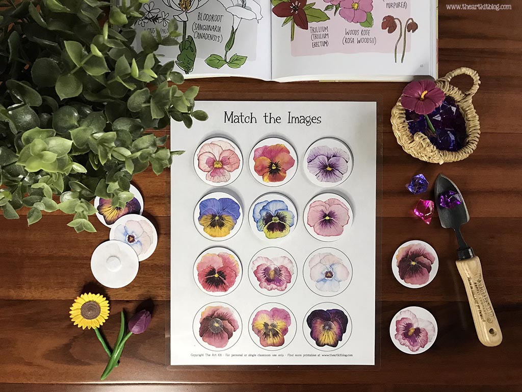 Pansy flower matching game free printable â the art kit