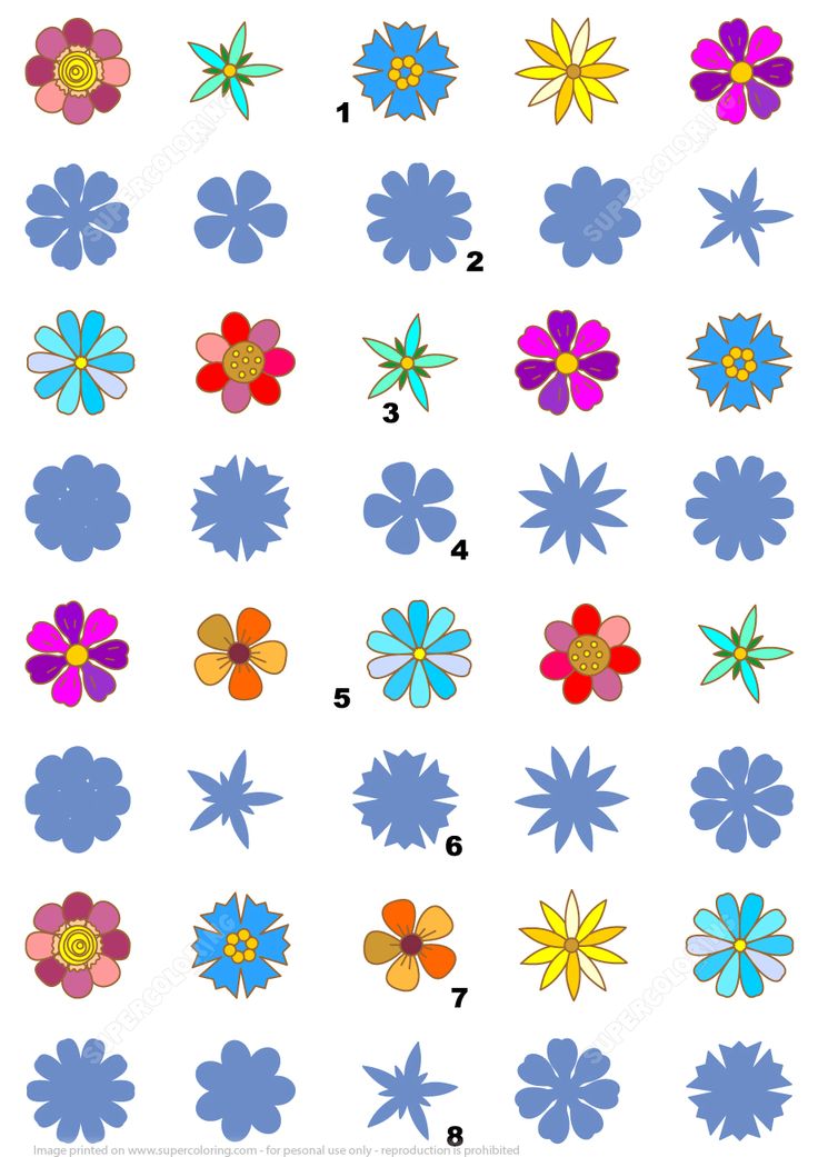 Match the pictures of flower rows to their shadows free printable puzzle games free printable puzzles flower puzzles printable puzzles
