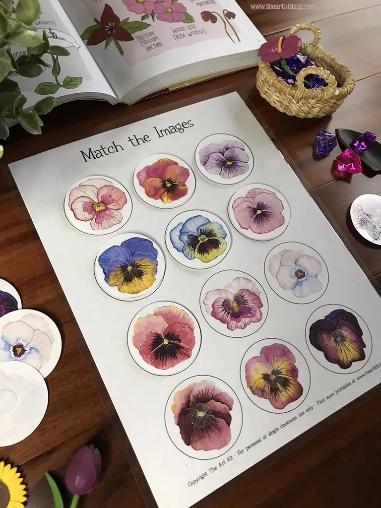 Pansy flower matching game free printable â the art kit