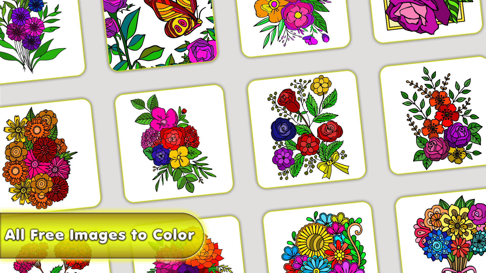 Flowers color by number