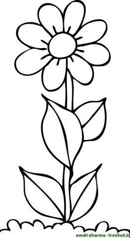 Flower colorg pictures