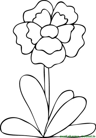 Flower colorg pictures