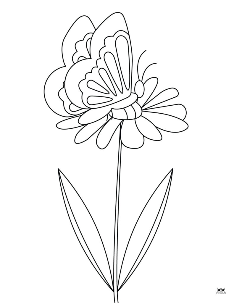 Butterfly coloring pages