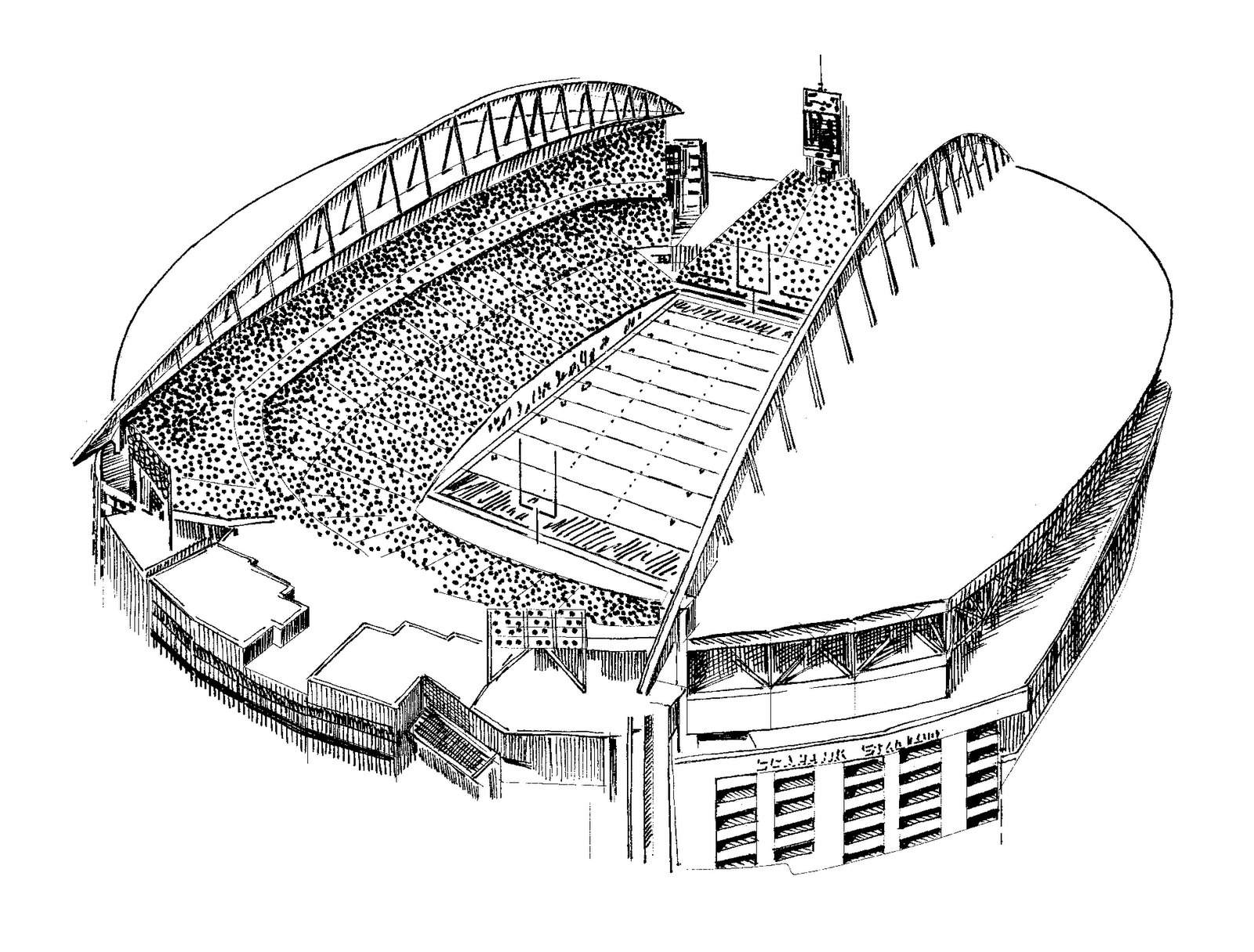 Seattle seahawks nfl football sport stadium architecture building buildings sport e wallpaper x