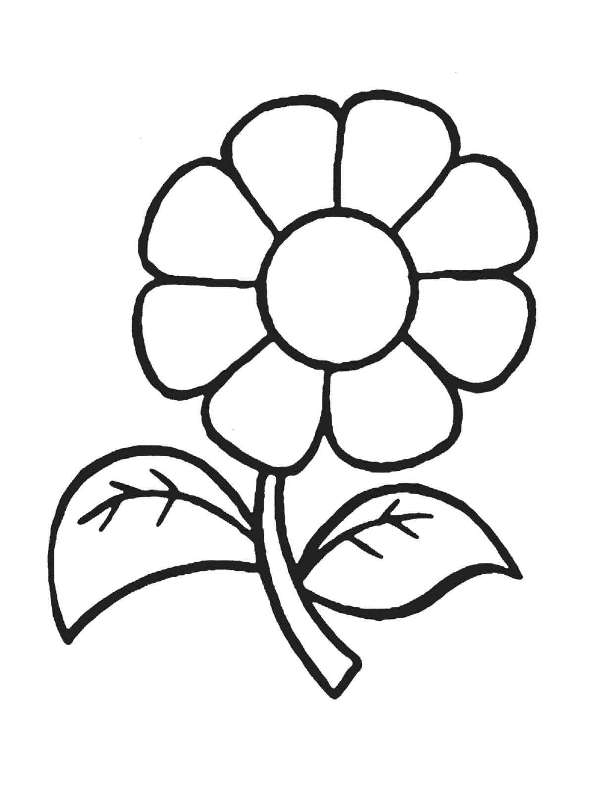 Coloring pages for