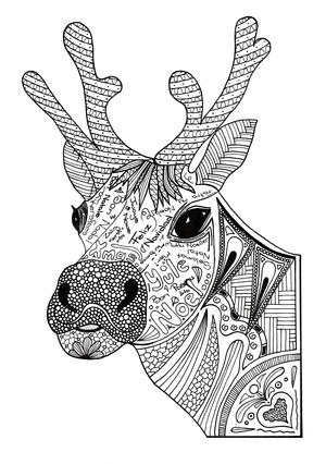 Printable adult coloring pages pdf downloads