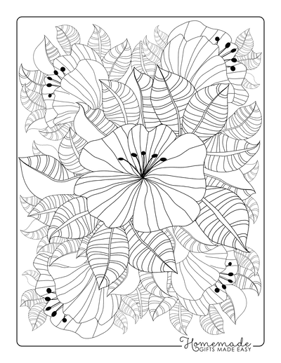 Adult coloring pages to print for free