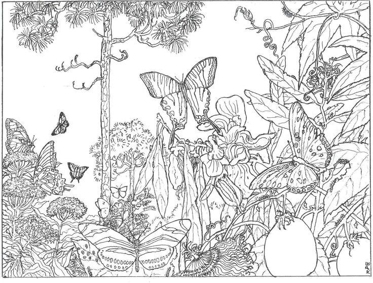 Coloring pages for adults
