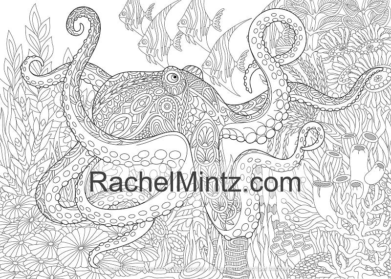 Zen wildlife animals â relaxing coloring book with detailed zentangle â rachel mintz coloring books
