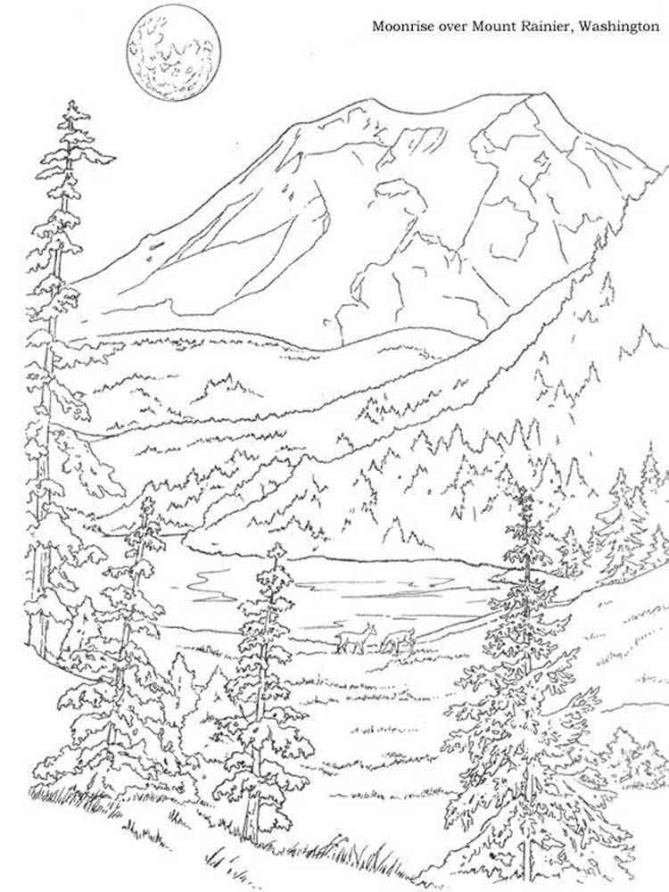 Nature coloring pages for adults