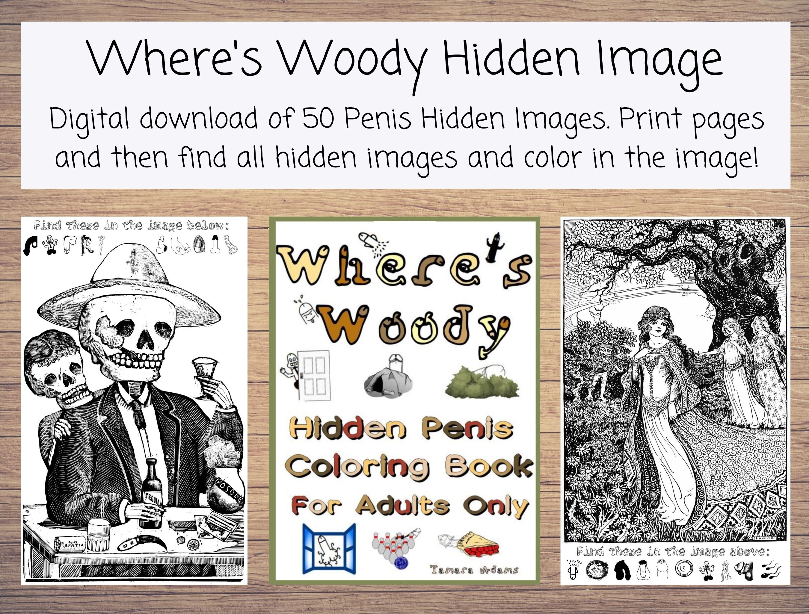 Fun games books coloring books wheres woody hidden image adult coloring book with printable pages find the hidden penis adult games gag gift bachelorette party fun