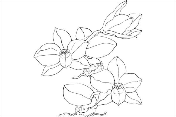 Free printable coloring pages for adults