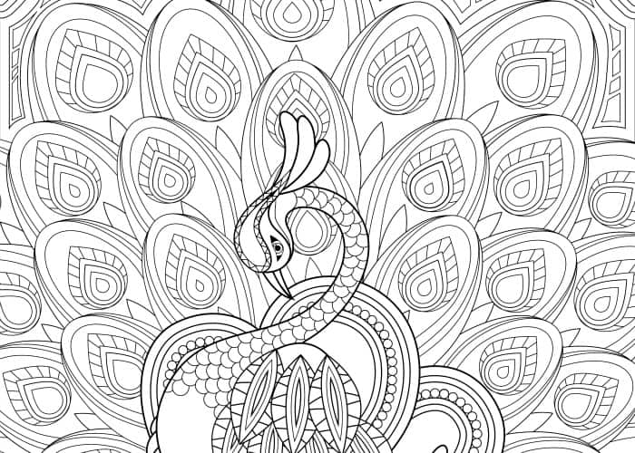 Free printable adult coloring pages