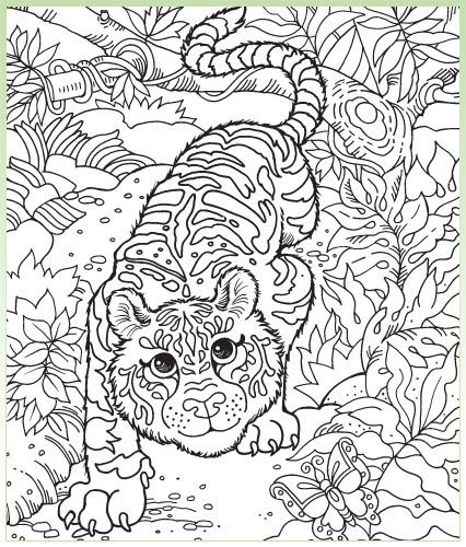 Were sorry classroom animal coloring pages coloring pages coloring books