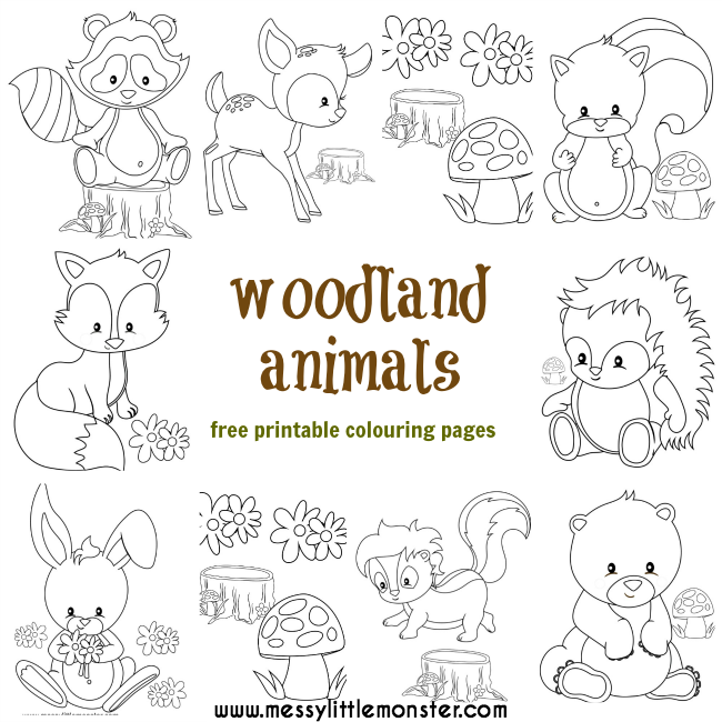 Woodland animal colouring pages animal coloring pages colouring pages woodland animals