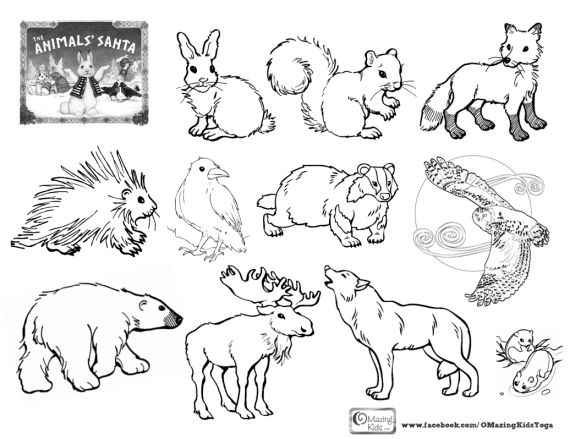 Lesson plan omazing kids animal coloring pages forest coloring book animal coloring books