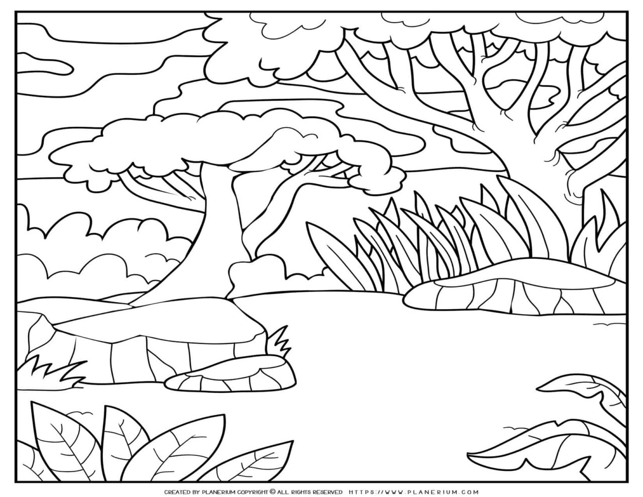 Forest coloring page