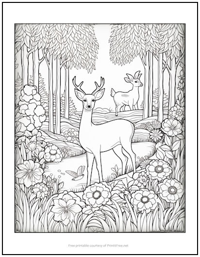 Deer in the forest coloring page print it free