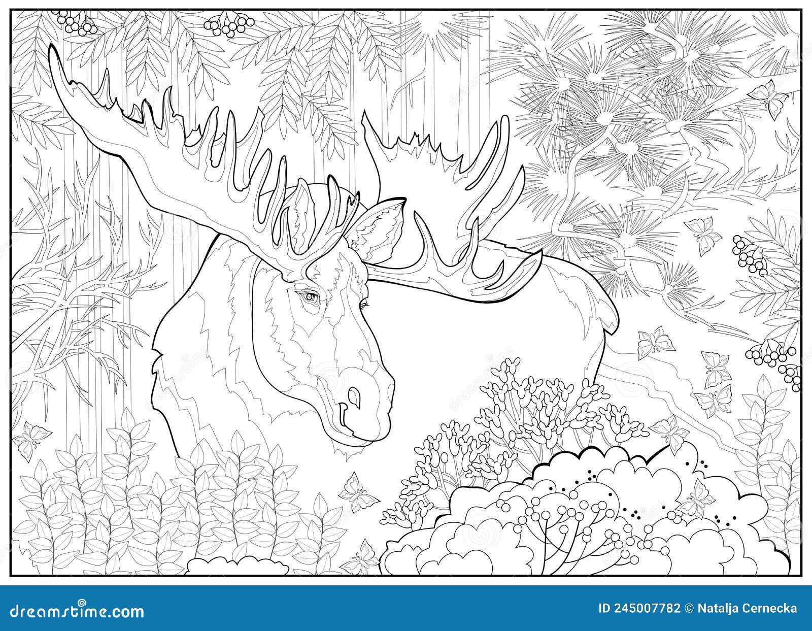 Moose with antlers in summer forest coloring book for children and adults image in zen