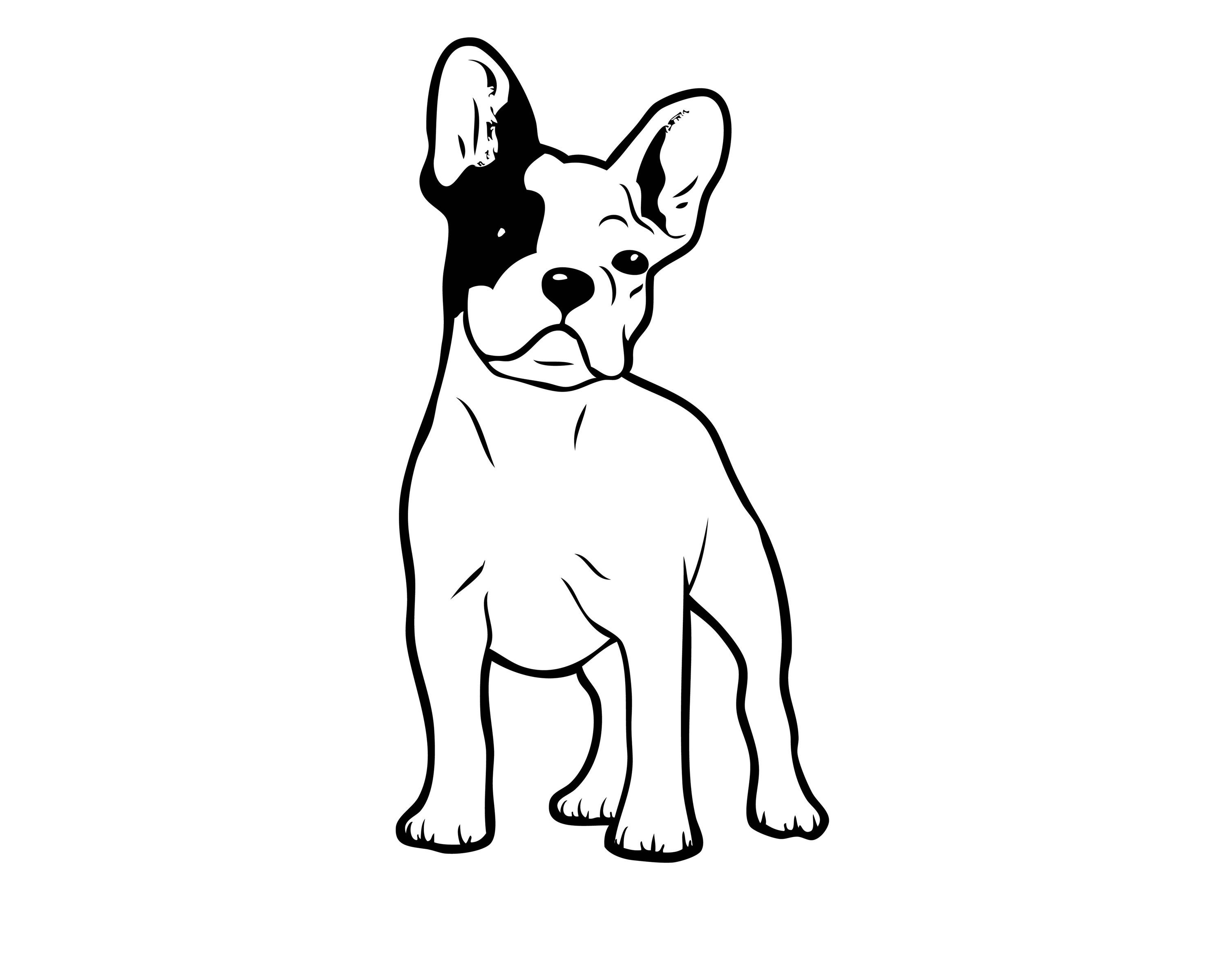 French bulldog dog breed k