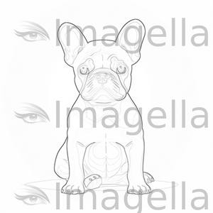 French bulldog image in minimalist art style vector clipart in k â