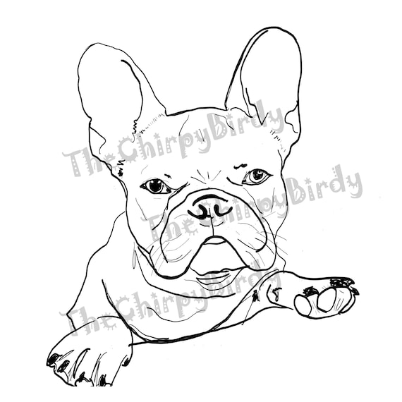 French bulldog frenchie coloring page digital file download