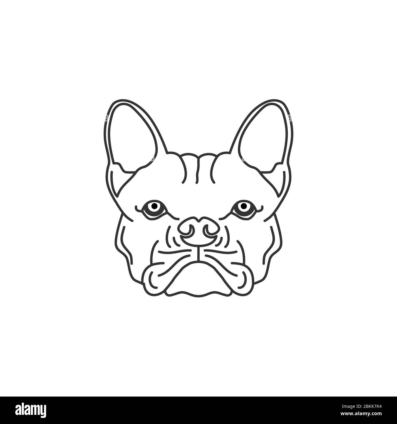 Bulldog drawing hi