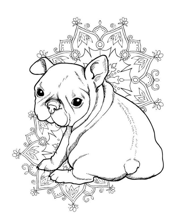 French bulldog puppy art print by cindy elsharouni dog coloring page puppy coloring pages animal coloring pages