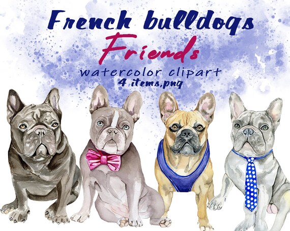 Watercolor dog clipart french bulldog print water color france bull dog png pet parent card diy sublimation graphic printable picture