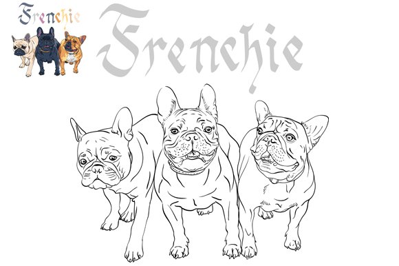 Three dogs french bulldog â