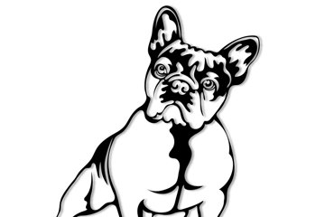 French bulldogdog svgpngjpgaivector