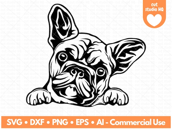 French bulldog svg french bulldog png french bulldog dxf french bulldog eps french bulldog vector file cricut download now
