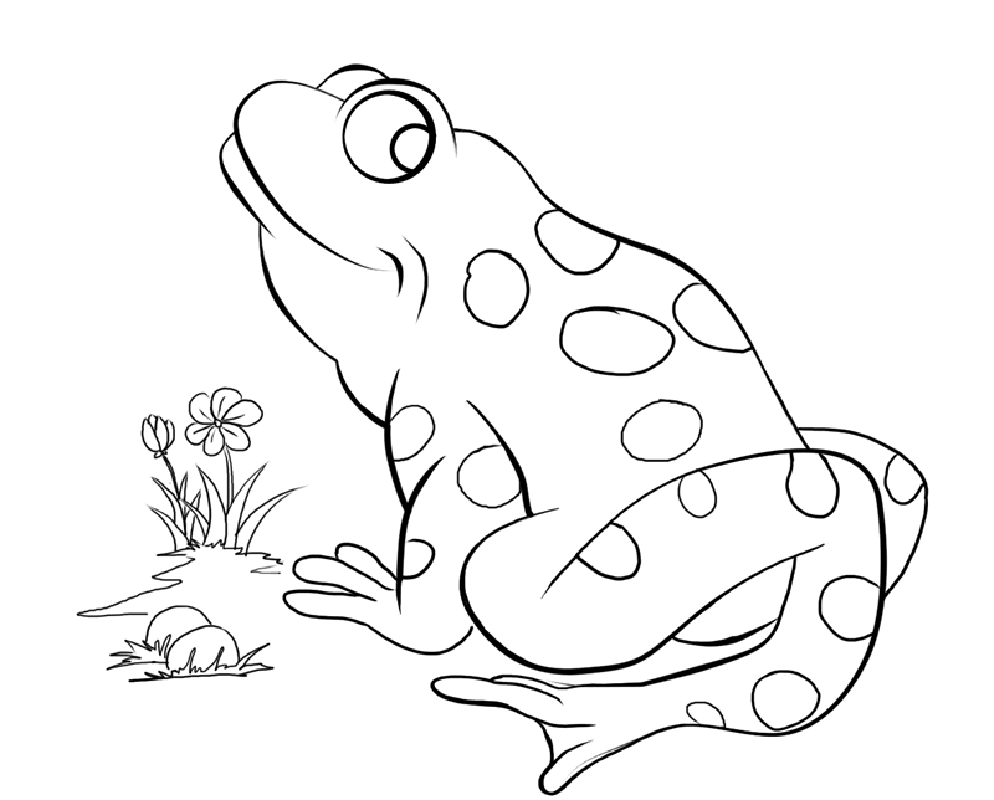 Free printable frog coloring pages for kids