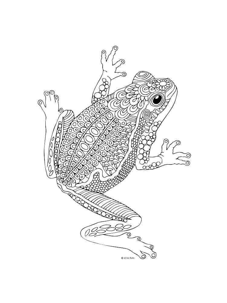 Frog coloring pages for adults