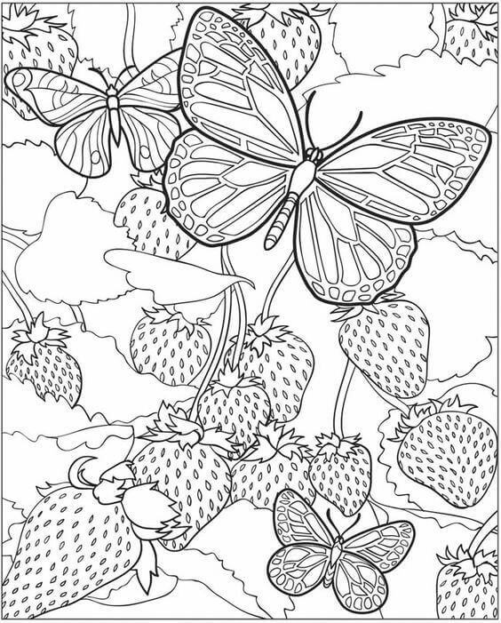 Free printable butterfly coloring pages butterfly coloring page detailed coloring pages free coloring pages
